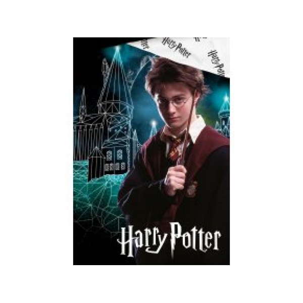 Bavlně povlečení Harry Potter Kouzelné Bradavice